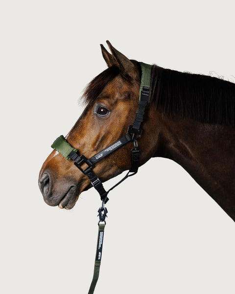 HALTER 2.0 - grime - Nordic Green