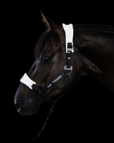 STRAP SET - Reflective