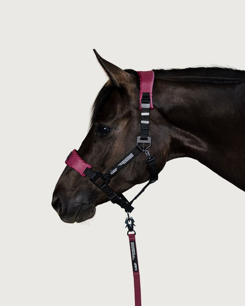 HALTER 2.0 - grime - Wild Plum