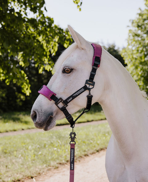 HALTER 2.0 - grime - Wild Plum
