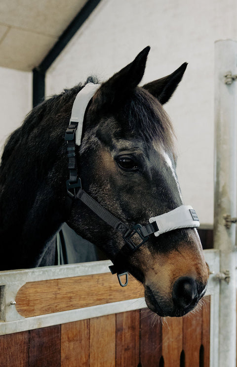 STRAP SET - Reflective