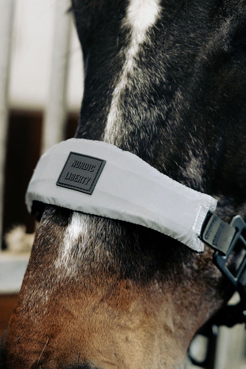 STRAP SET - Reflective