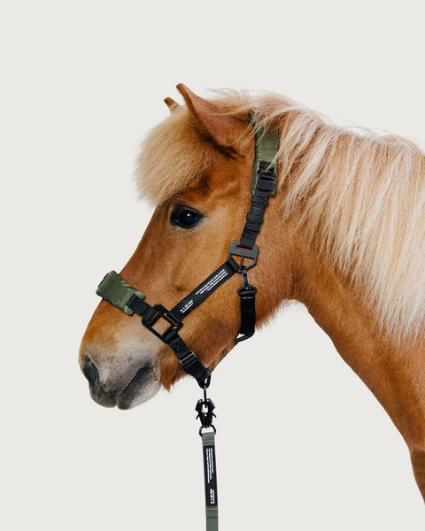 HALTER 2.0 - grime - Nordic Green