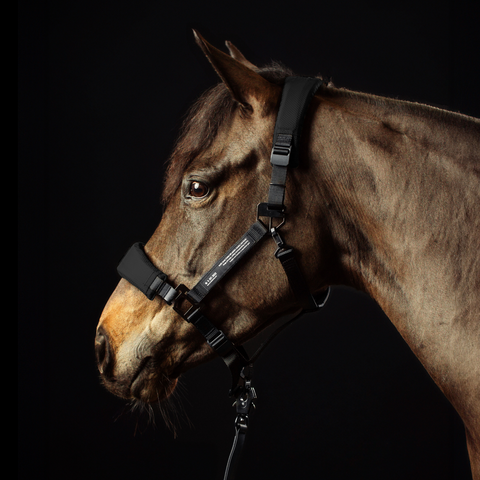 HALTER BUNDLE 3