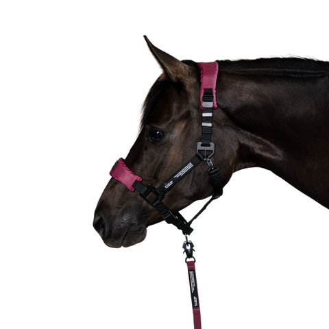 Let og holdbar grime til hest – Nordic Liberty Halter 2.0