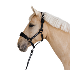 Premium grime til hest fra Nordic Liberty – Halter 2.0 i tre farver