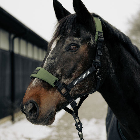 Hest med grime Halter 2.0 i Nordic Green – komfortabel og justerbar pasform