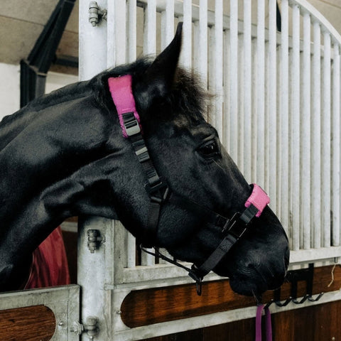 Komfortabel grime til hest i Wild Plum med god pasform – Halter 2.0