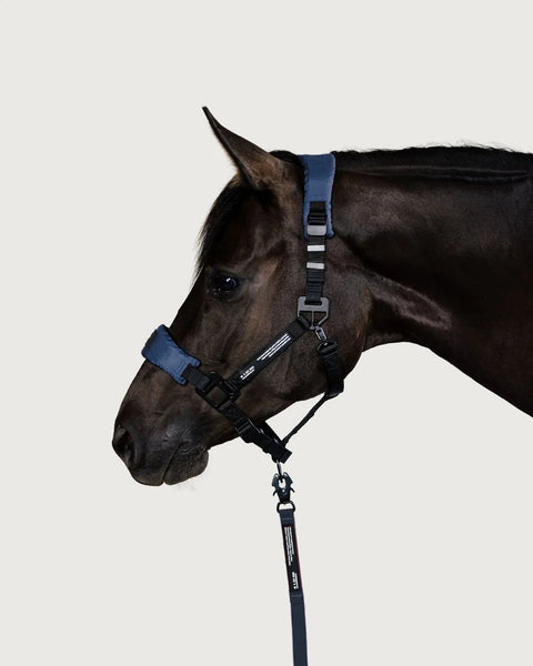 HALTER 2.0 - grime - Arctic Navy