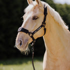 Nordic Liberty sikkerhedsgrime Deep Black – Halter 2.0 til daglig brug