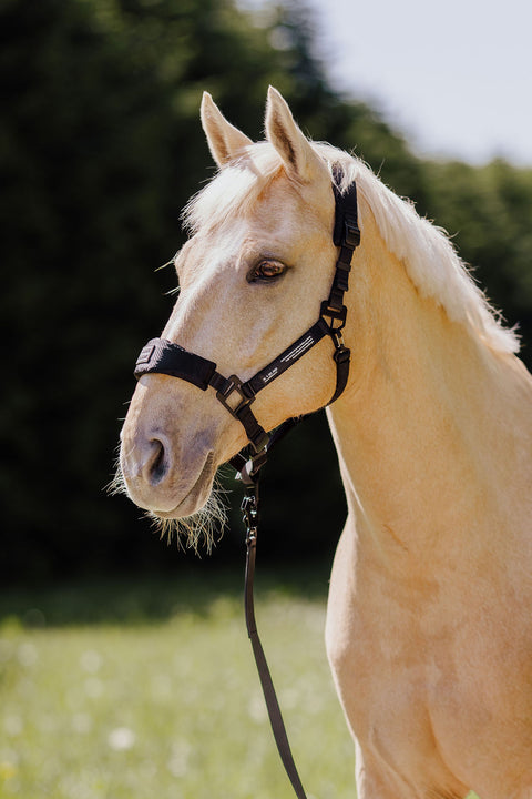 Nordic Liberty sikkerhedsgrime Deep Black – Halter 2.0 til daglig brug