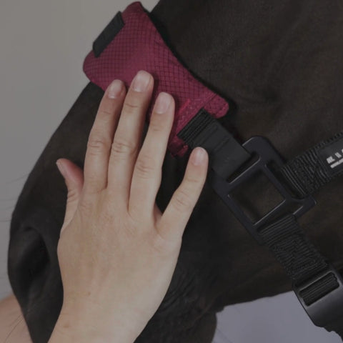 HALTER 2.0 - grime - Wild Plum