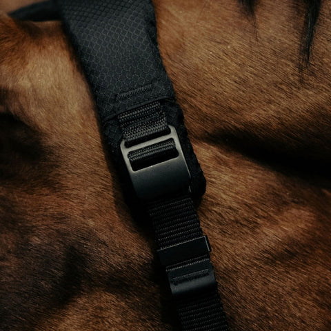 Detalje af sikkerhedsspænde på grime til hest – Halter 2.0 sort